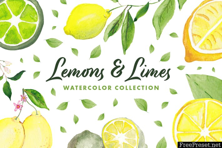 Lemons & Limes Watercolor Collection 6D68NC - PNG