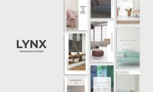 Lynx Instagram Stories TZ9KSX - PSD, PDF