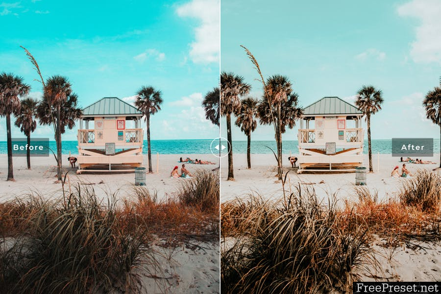 Miami Mobile & Desktop Lightroom Presets