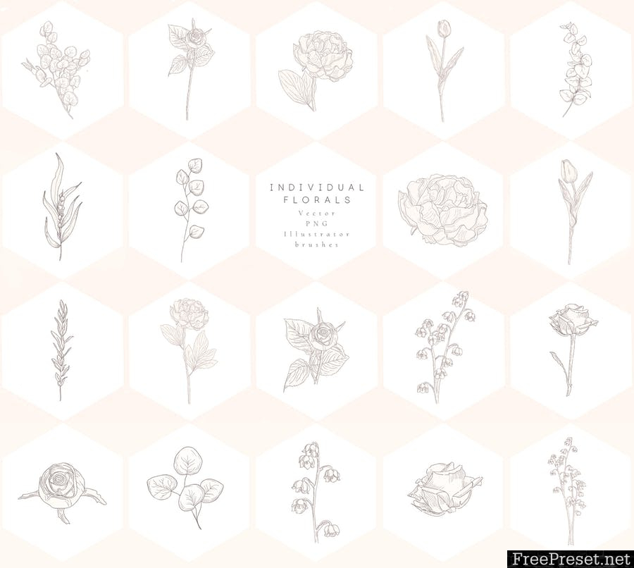 New Brand Collection Floral Graphics XGQM3B - EPS, JPG, PNG, PSD