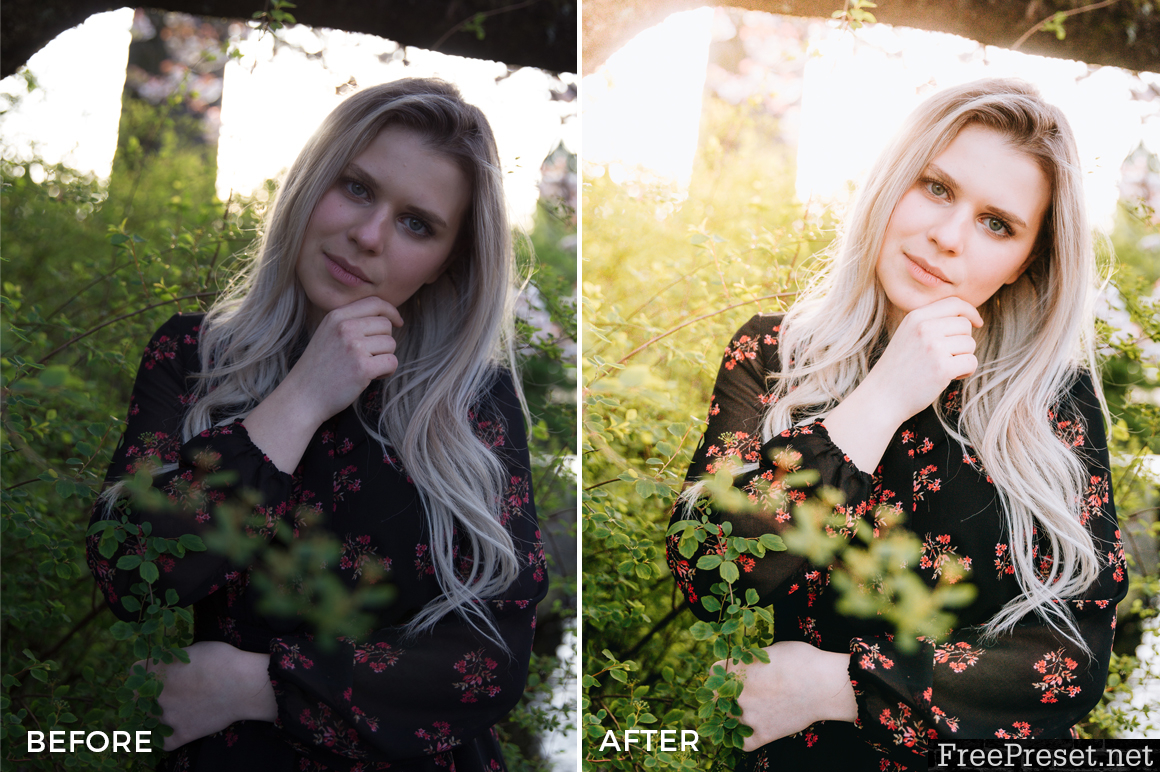 Nick Verbelchuk Lightroom Presets