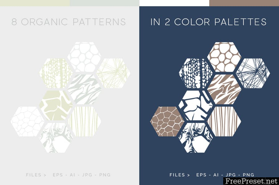 Organic Patterns - 2 color palettes - AI, EPS, JPG, PNG