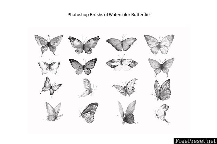 Photoshop Brush Watercolor Butterflies ABR