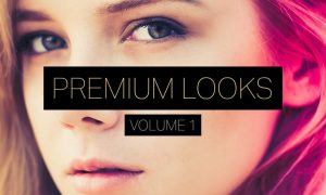 Premium Looks Lightroom Presets (Vol. 1)