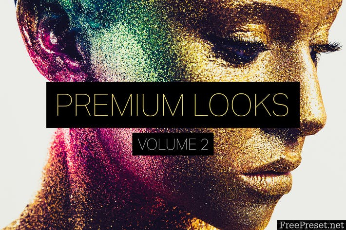 Premium Looks Lightroom Presets (Vol. 2)