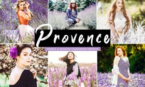 Provence Mobile & Desktop Lightroom Presets