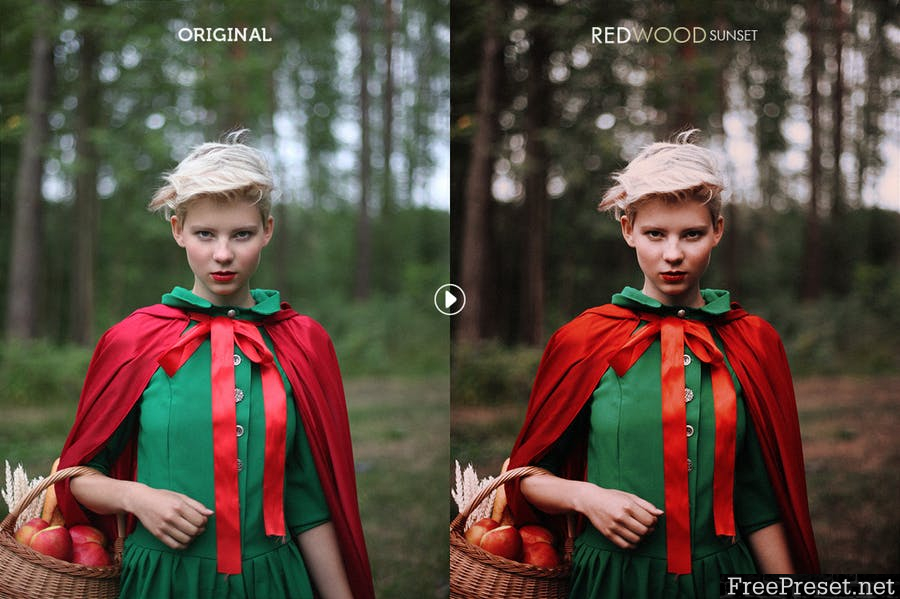 Redwood Fairytale Photoshop Actions