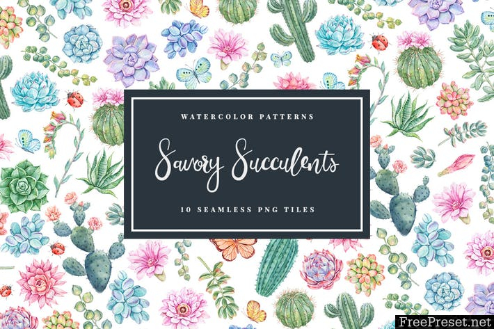 Savory Succulents - Seamless Patterns FWSU9GR - PNG