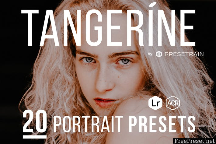 Tangerine Portrait Presets for Lightroom & ACR