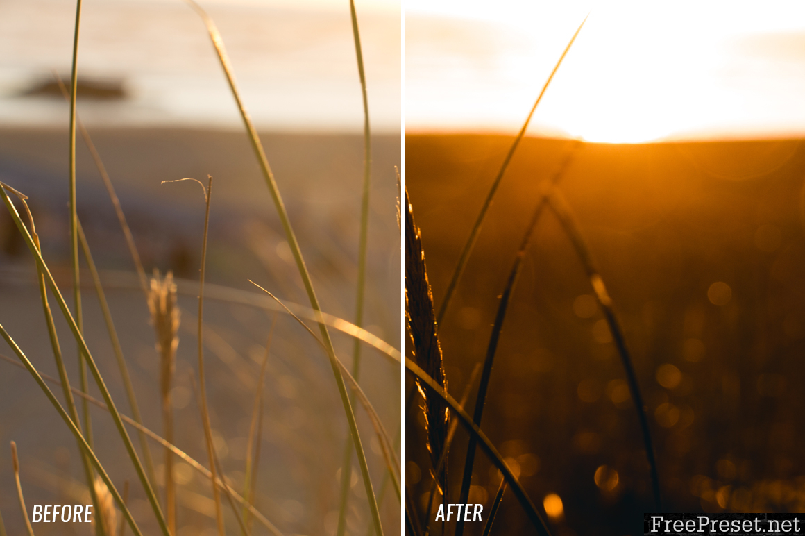 Theo Ox Lightroom Presets