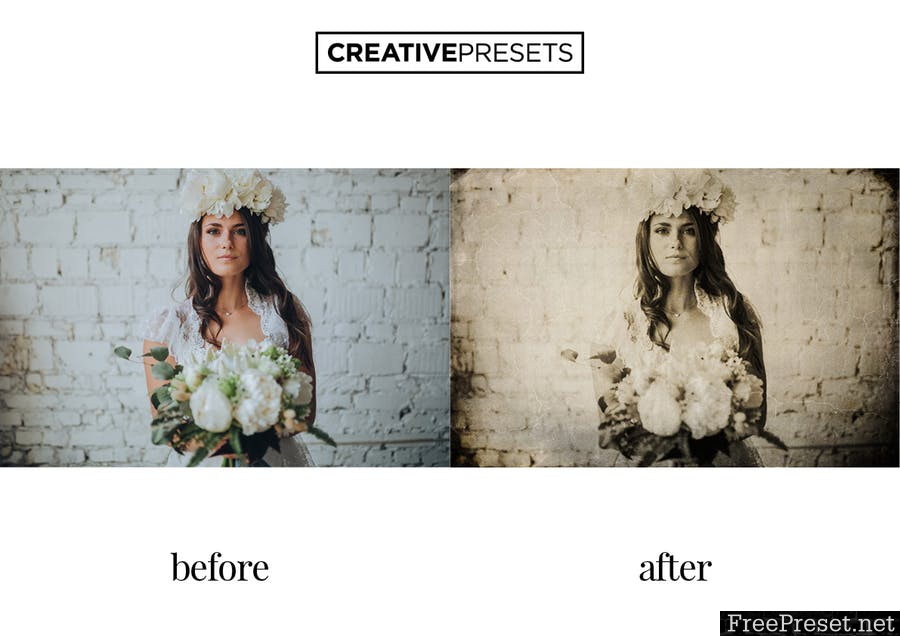 Wet Plate Lightroom Presets + Overlays