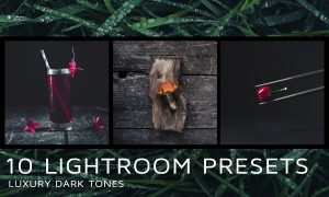 10 Dark tones presets for Lightroom 2172224