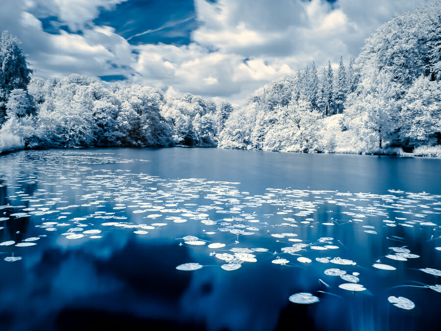 An infrared photo of the pond at Chateau de la Hulpe, near Brussels 