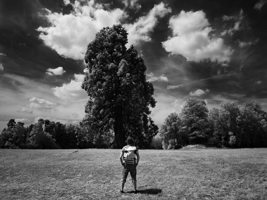 An infrared photography of a walker stood in a field