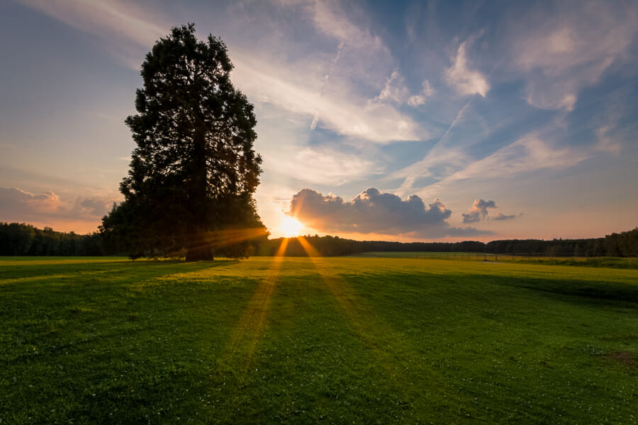 An image of a field at sunset, taken during the golden hour