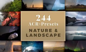 244 ACR Presets - Nature & Landscape 1933849