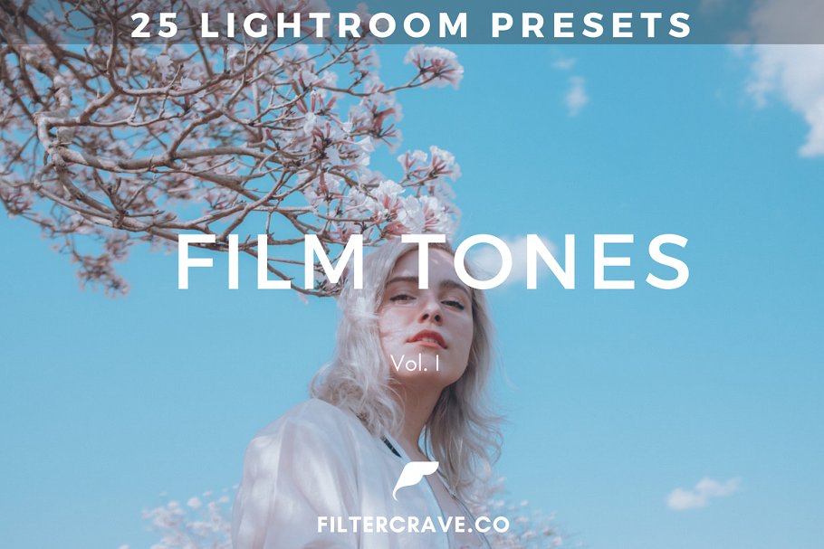 25 Film Tone Lightroom Presets I 1969137