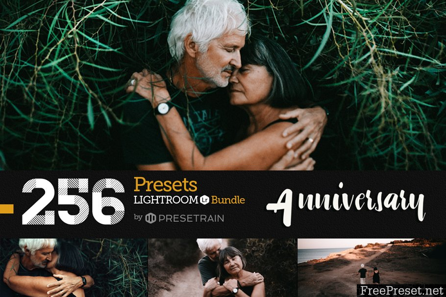 256 New Lightroom Presets Bundle 1157201