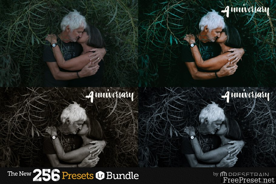 256 New Lightroom Presets Bundle 1157201