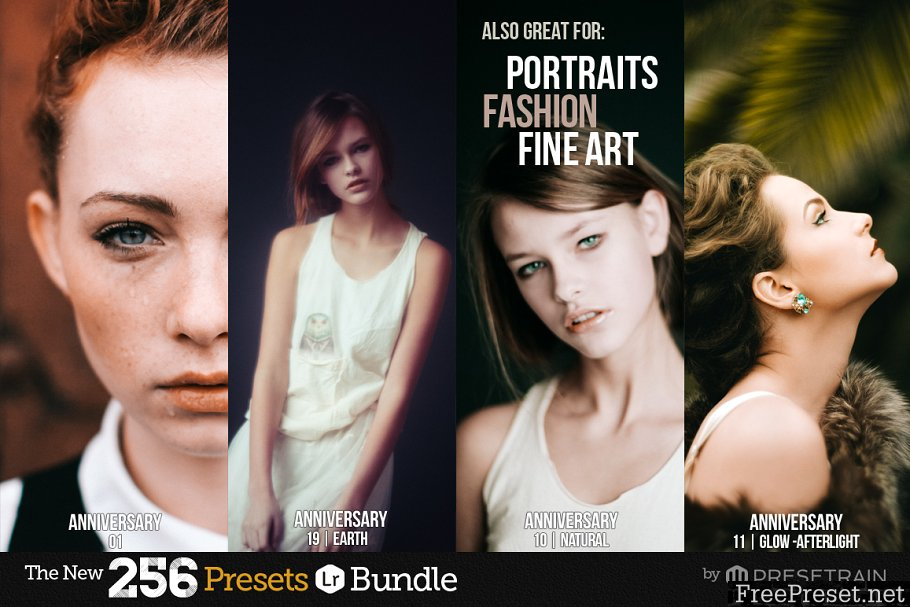 256 New Lightroom Presets Bundle 1157201