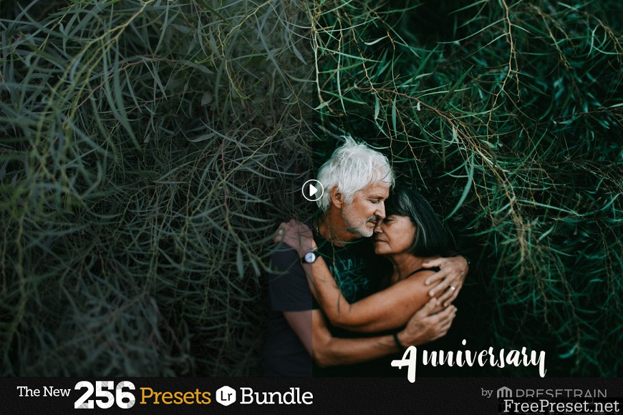 256 New Lightroom Presets Bundle 1157201