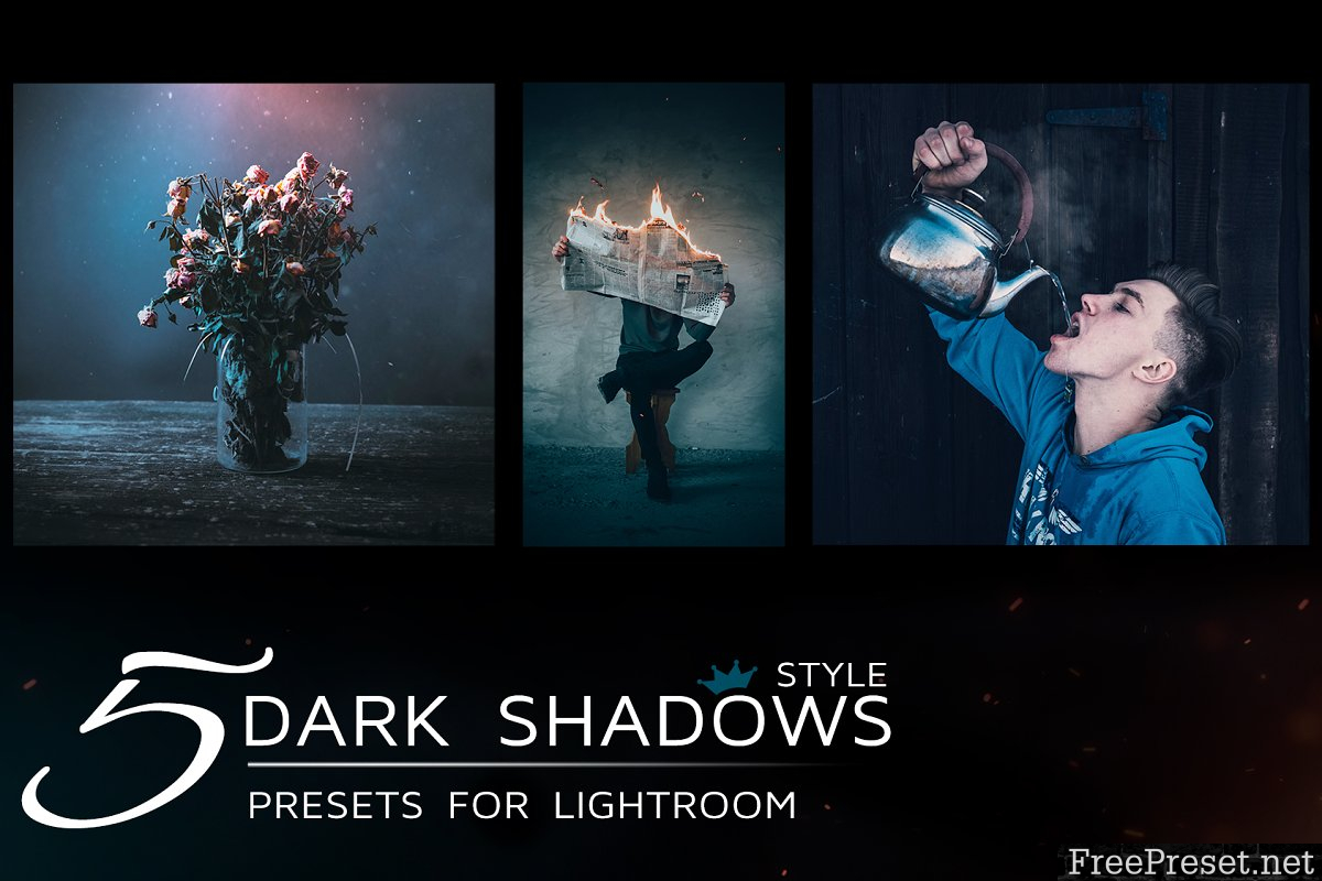 5 Lightroom Presets in dark tones 1821528