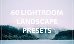 60 Landscape Lightroom Presets 1604166