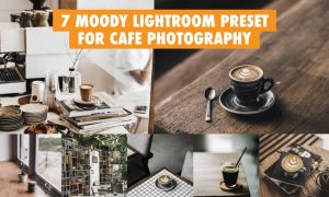 7 Moody Lightroom Preset For Cafe Photography