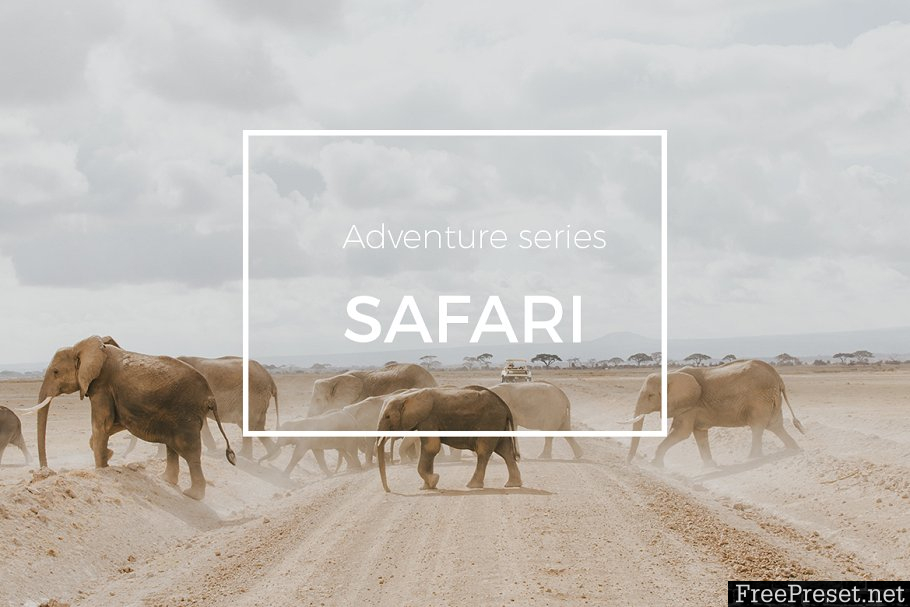 Adventure Series: Safari LR Preset 1618362