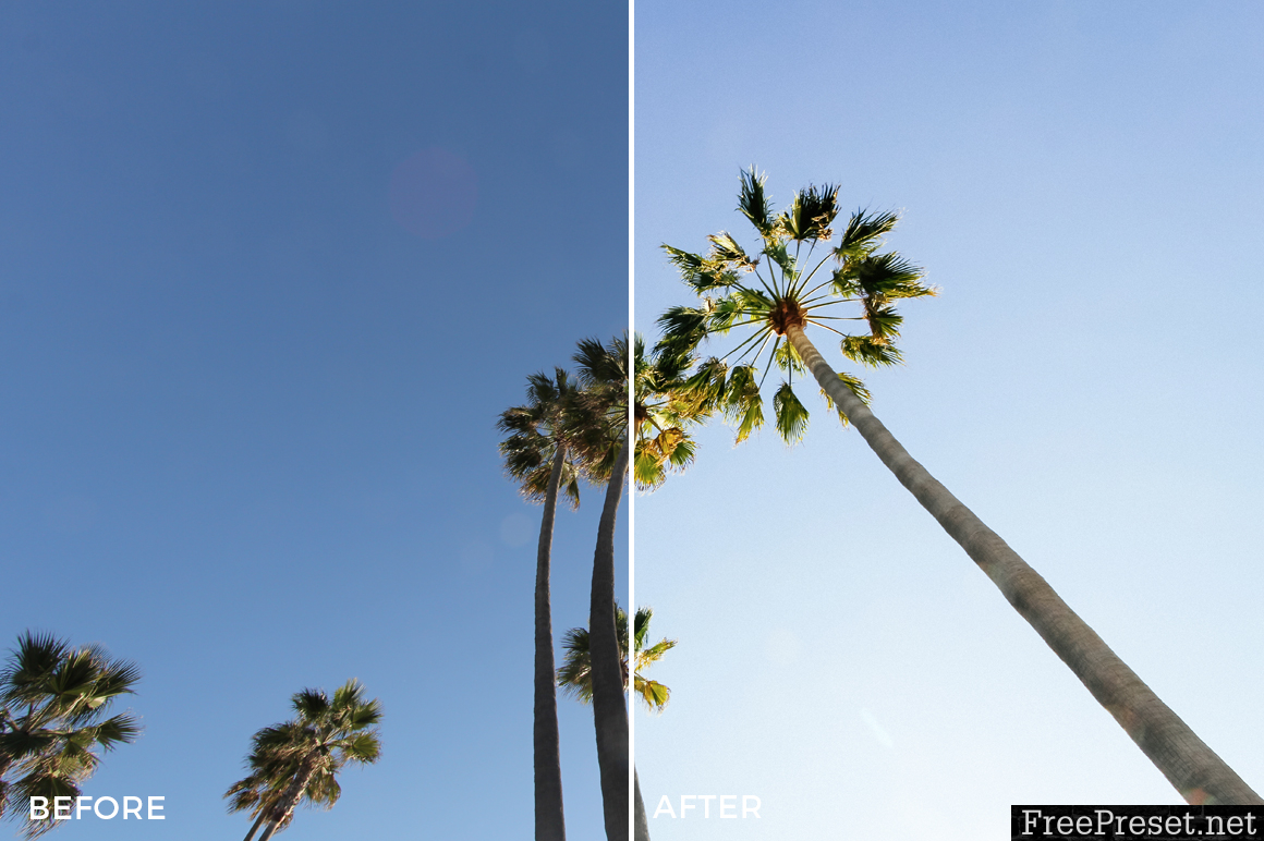 Alexander Zhuk Summer LA Lightroom Presets