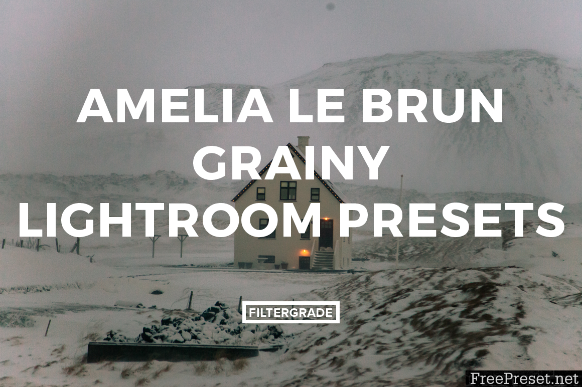 Amelia Le Brun Grainy Lightroom Presets