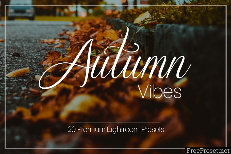 Autumn Vibes - Lightroom Presets 1957277