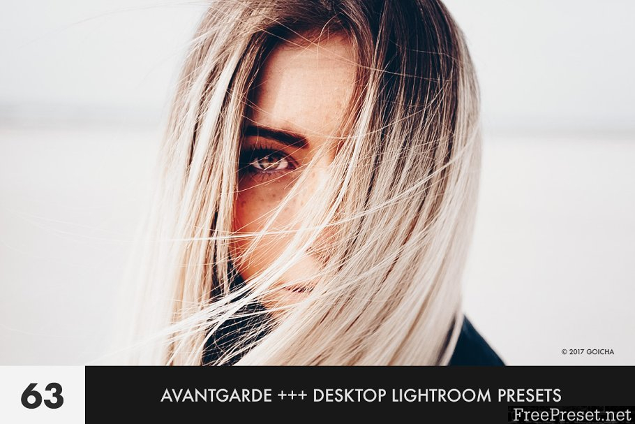 Avantgarde Lightroom Presets 1808888