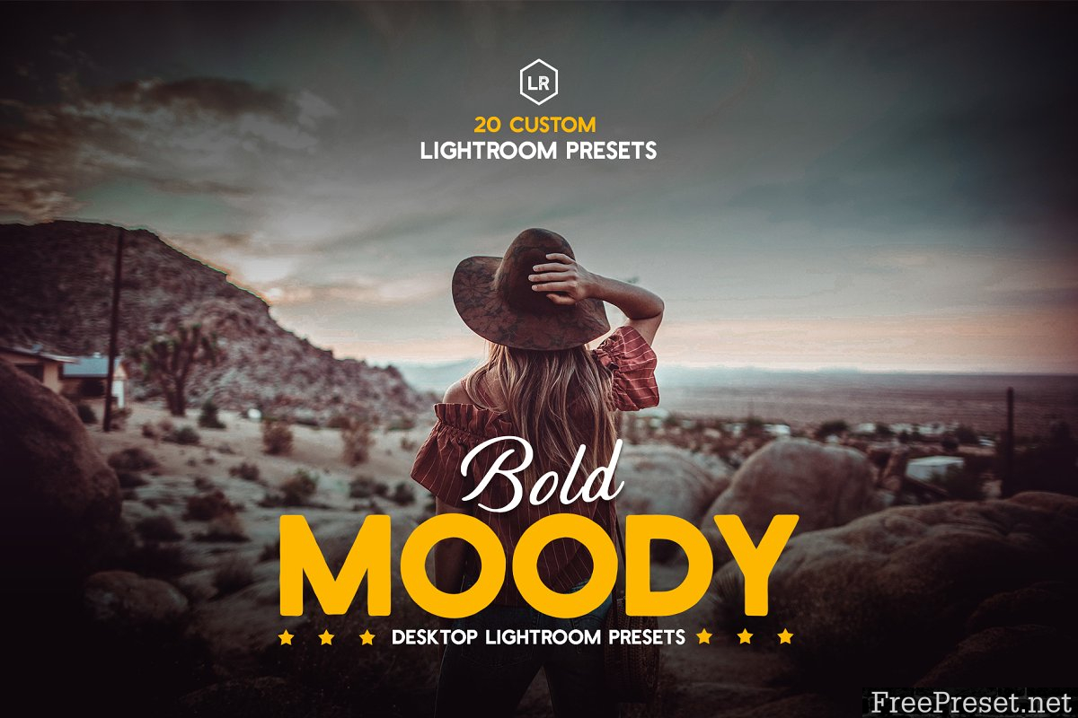 Bold Moody Lightroom Presets 3884638