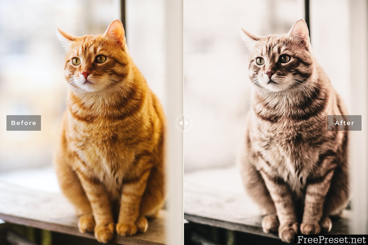 Cats Love Lightroom Presets - Mobile & Desktop