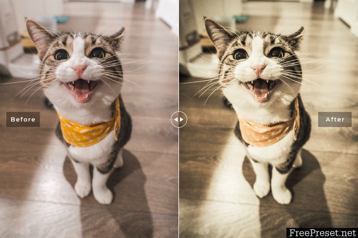 Cats Love Lightroom Presets - Mobile & Desktop