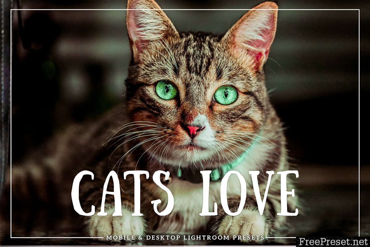 Cats Love Lightroom Presets - Mobile & Desktop