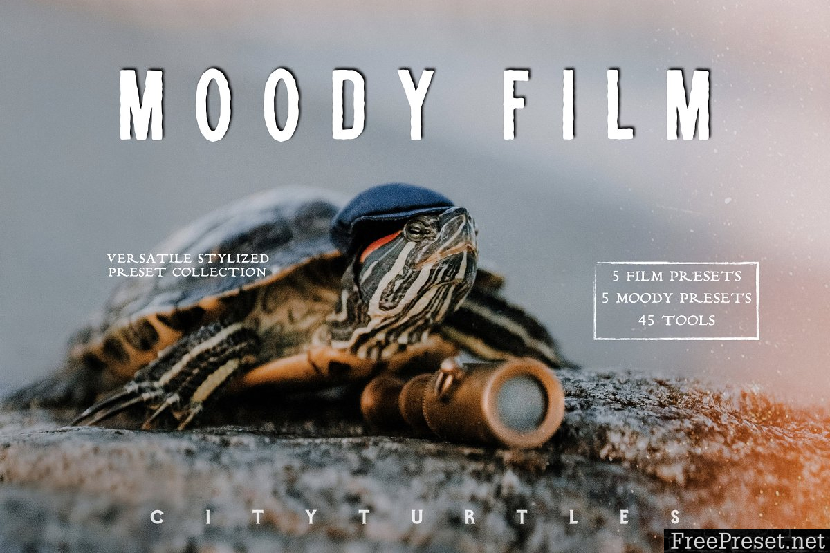 Clean & Moody Film Lightroom Presets 3890128