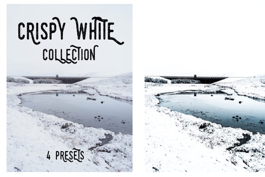 Crispy White Collection 1656538