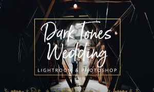Dark Film Tones Wedding Presets 1310290