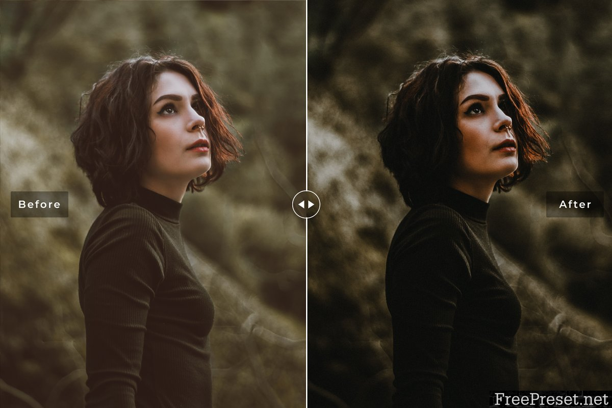 Dark & Moody Lightroom Presets 3976046