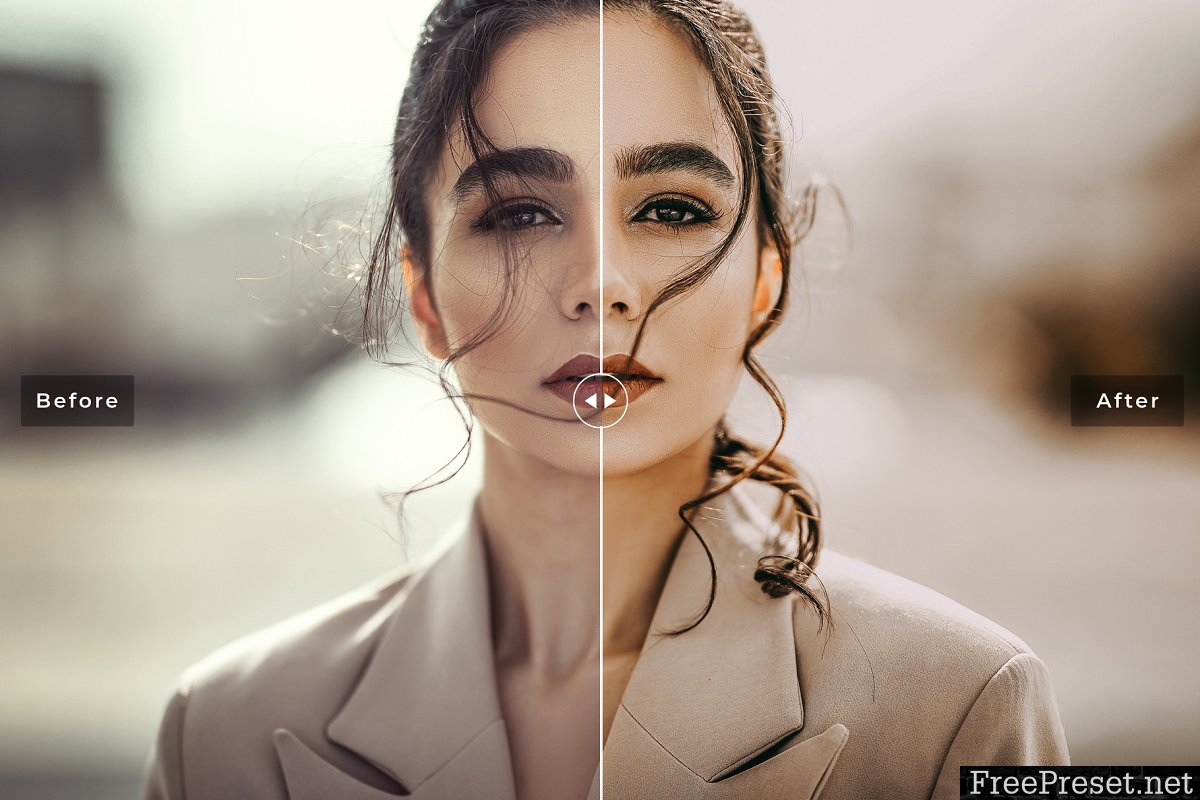 Dark & Moody Lightroom Presets 3976046