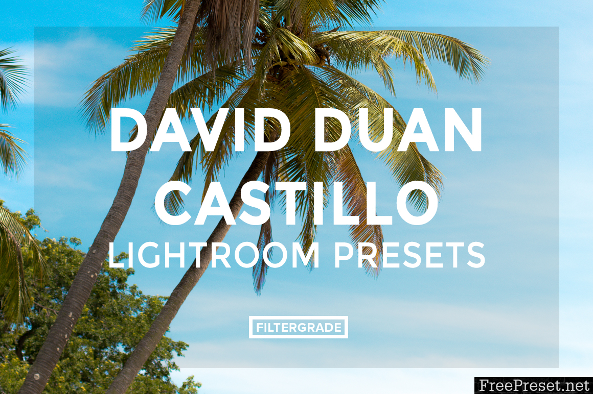 David Duan Castillo Lightroom Presets