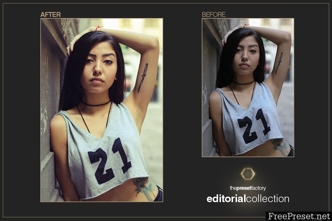 Editorial Collection for Lightroom 1152224