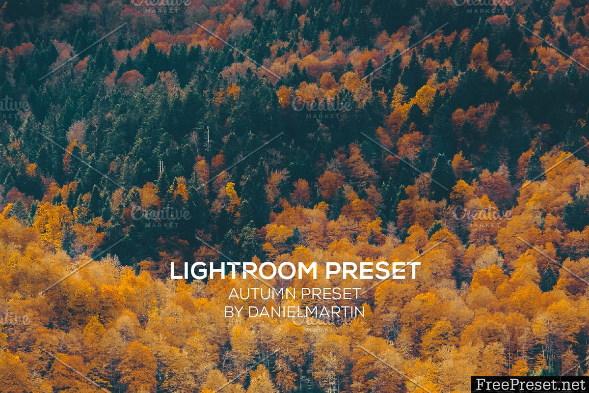 ELEGANT LIGHTROOM PRESET COLLECTION 1440326