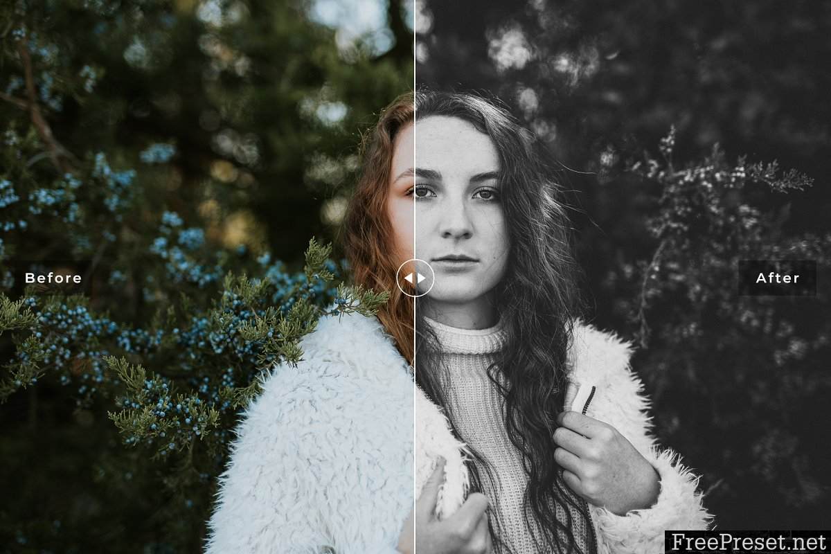 Essential Lightroom Presets Pack 3976069