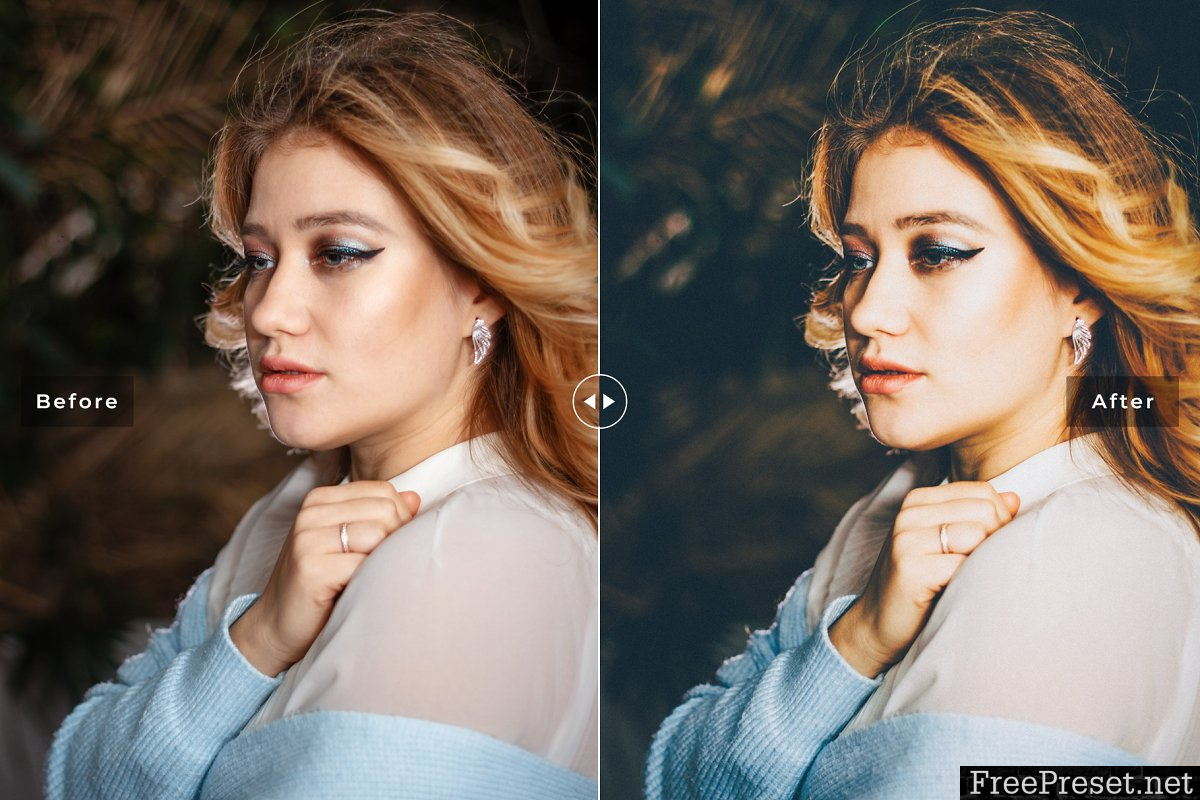 Essential Lightroom Presets Pack 3976069