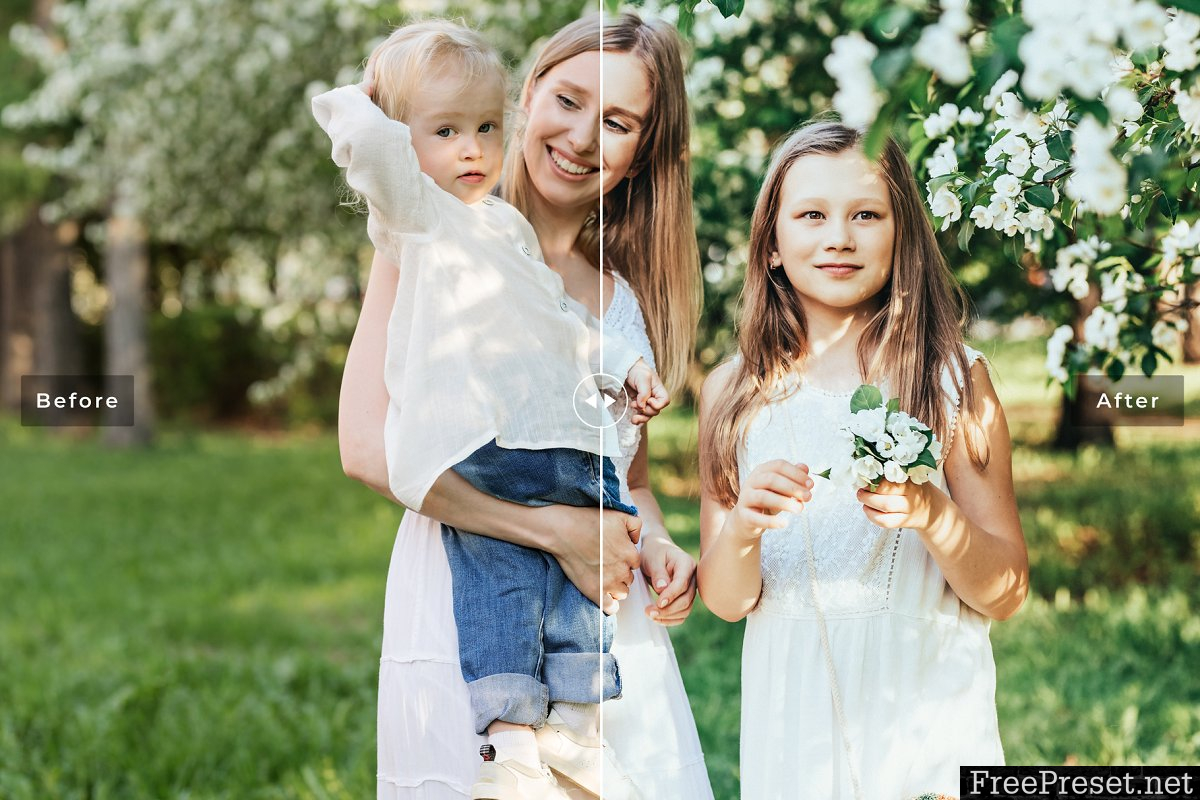 Family Professional Lightroom Presets 3977634