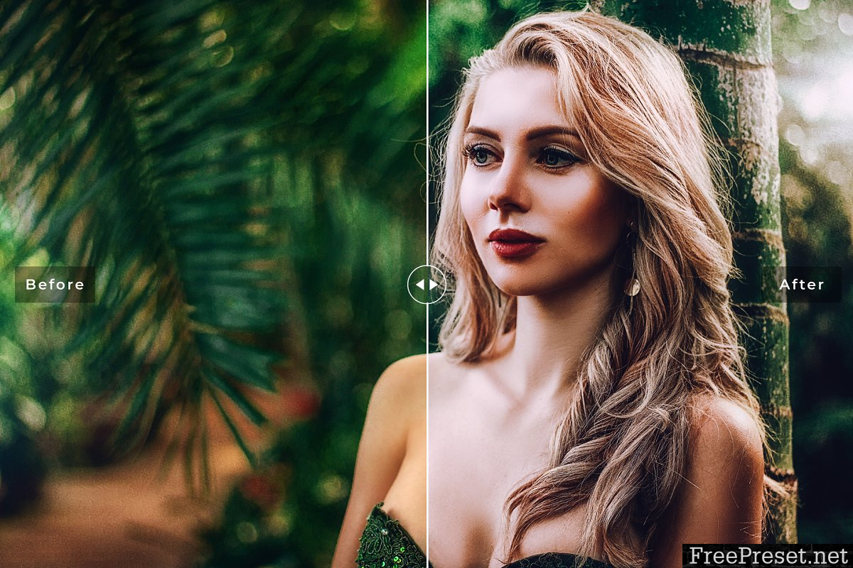 Fantasy Dark Professional Lightroom Presets 3983301