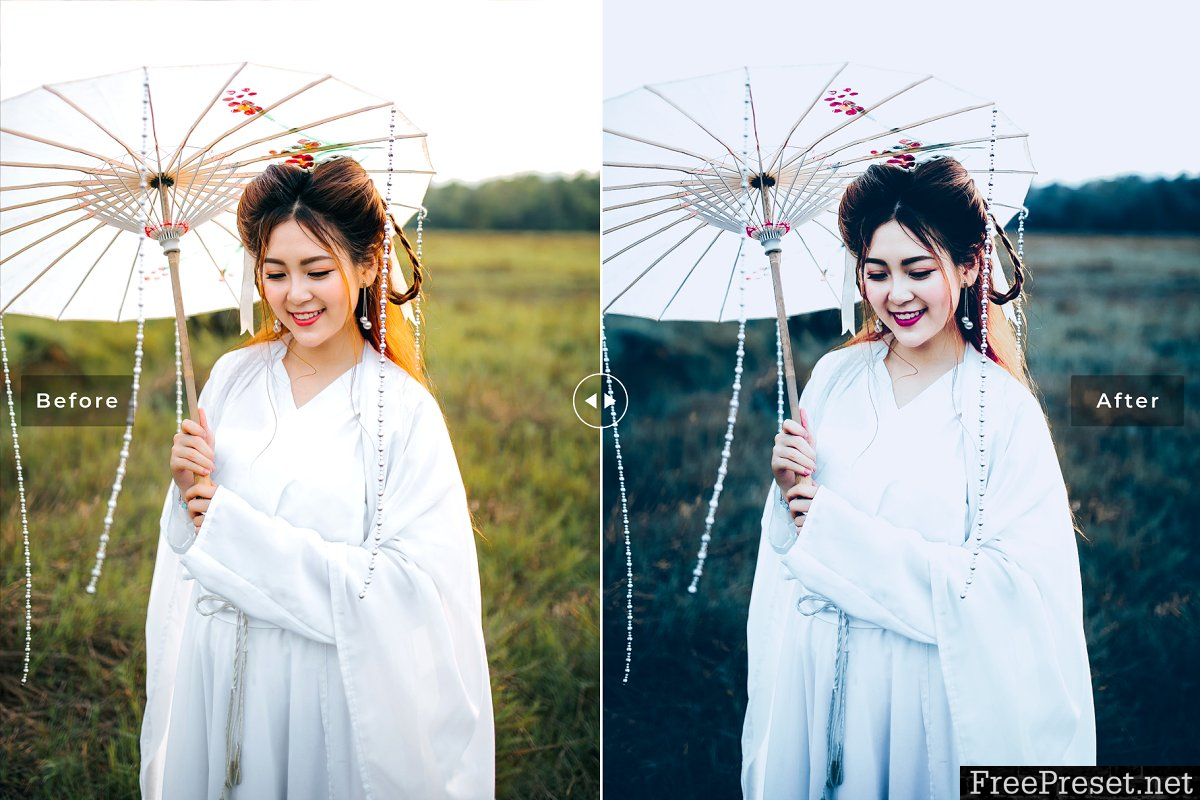 Fantasy Dark Professional Lightroom Presets 3983301